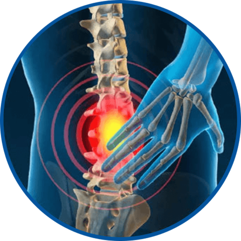 <h3><strong>Lower Back Pain</strong></h3>