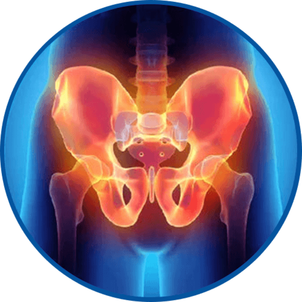 <h3><strong>Hip Pain</strong></h3>